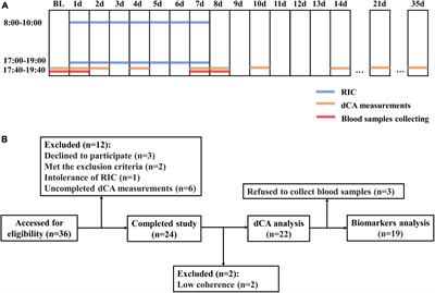 The Impact of Serial Remote Ischemic Conditioning on Dynamic Cerebral Autoregulation and Brain Injury Related Biomarkers